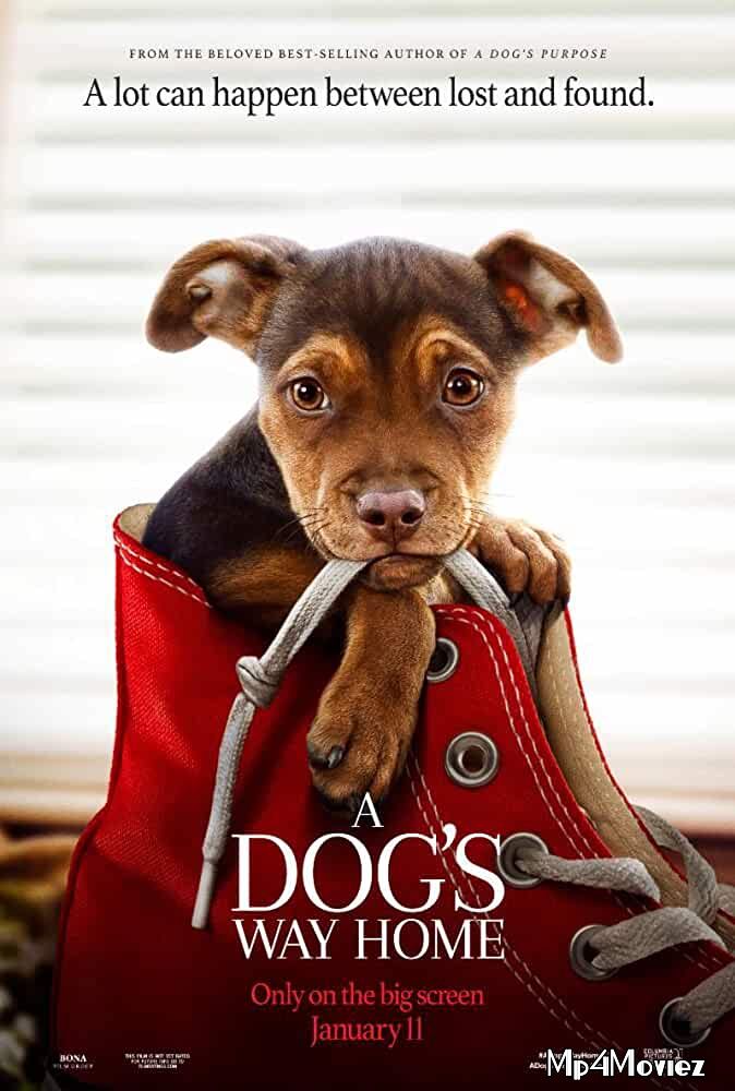 A Dogs Way Home (2019) Hindi Dubbed BluRay 720p 480p