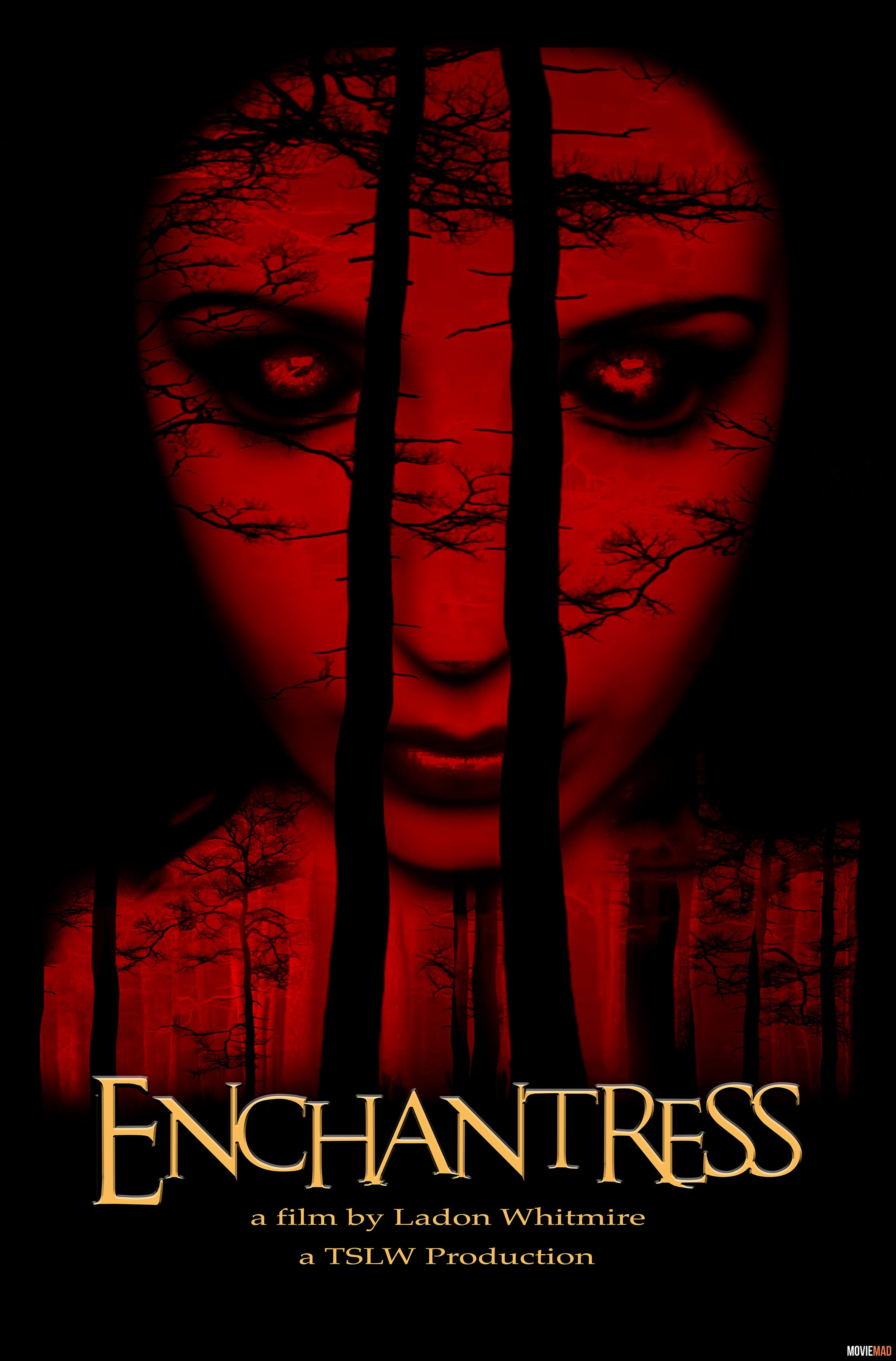 Enchantress Bengali (Voice Over) Dubbed WEBRip Full Movie 720p 480p