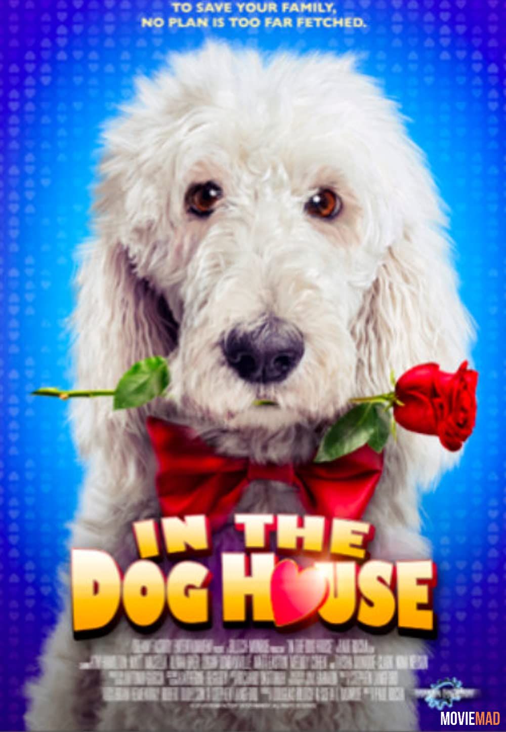 In the Dog House 2014 HDRip Dual Audio Hindi Full Movie 720p 480p