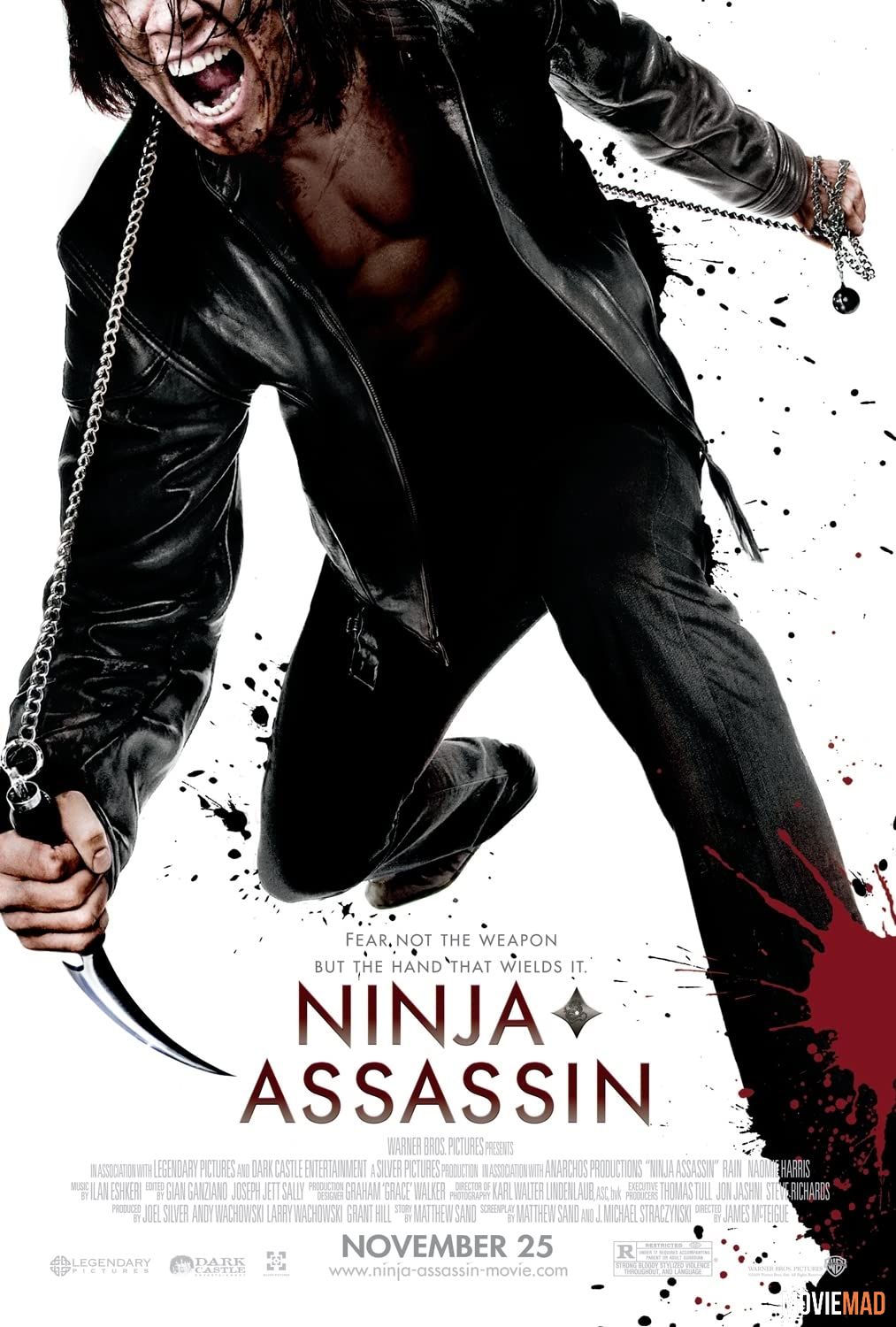 Ninja Assassin (2009) Hindi Dubbed ORG BluRay Full Movie 720p 480p