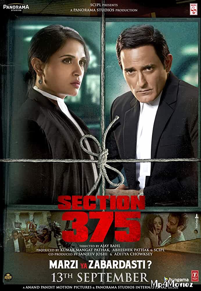 Section 375 (2019) Hindi WEB-DL 720p 480p