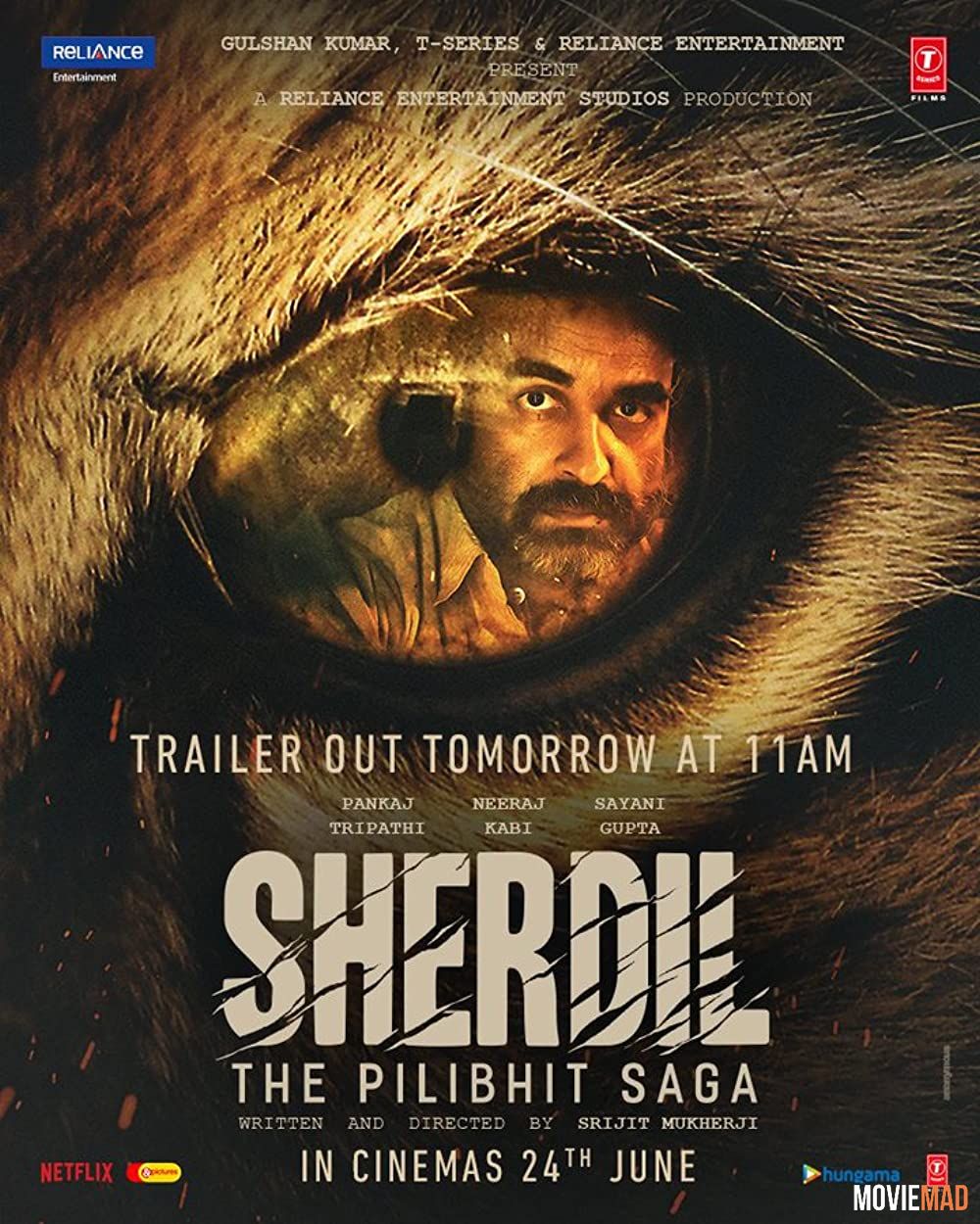 Sherdil (2022) Hindi NF HDRip Full Movie 720p 480p