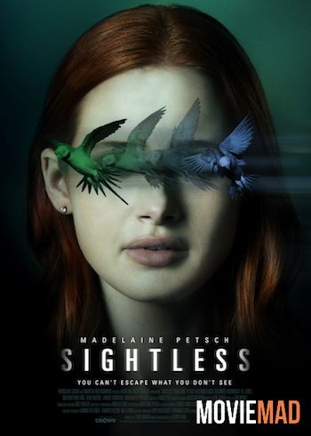 Sightless 2020 Hindi Dubbed WEB DL Full Movie 720p 480p