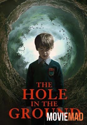 The Hole in the Ground 2019 Hindi Dubbed ORG BluRay Full Movie 720p 480p