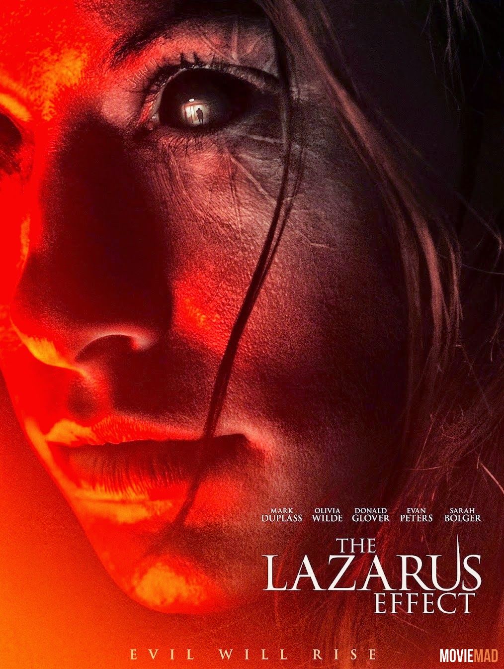 The Lazarus Effect 2015 Hindi Dubbed BluRay Full Movie 720p 480p