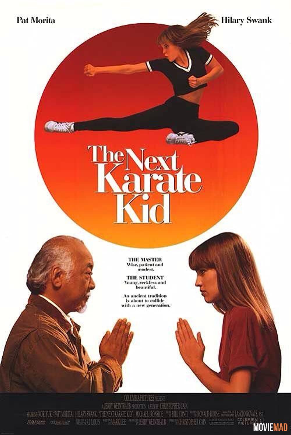 The Next Karate Kid 1994 Hindi Dubbed BluRay Full Movie 720p 480p