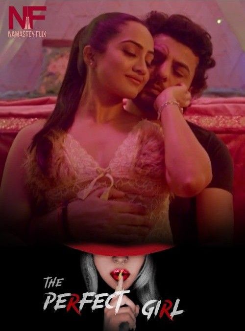 The Perfect Girl S01 Part 1 (2024) Hindi Namasteyflix Web Series HDRip