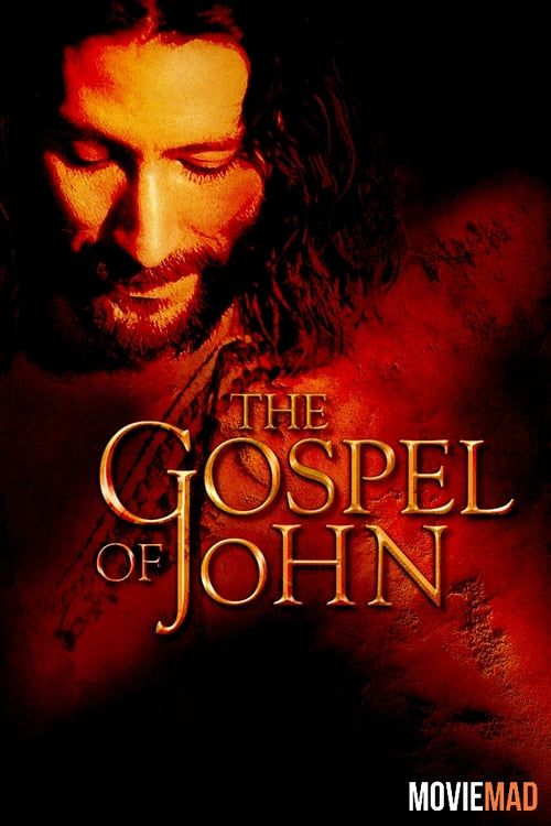 The Visual Bible: The Gospel of John 2003 Hindi Dubbed BluRay Full Movie 720p 480p